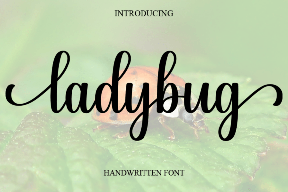 Ladybug: A Handwritten Font That Feels Like a Sunny Day