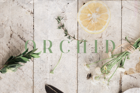 Orchid: The Elegant Serif for Modern Design