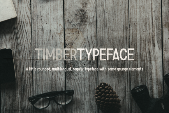 Timber: The Display Font That Brings Bold Clarity